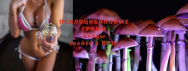 герыч Зеленодольск