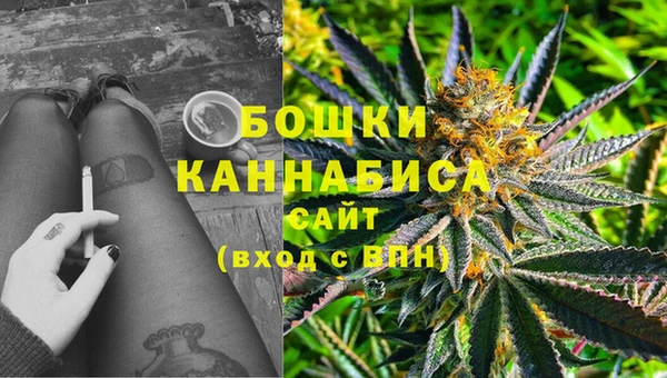 шишки Зерноград