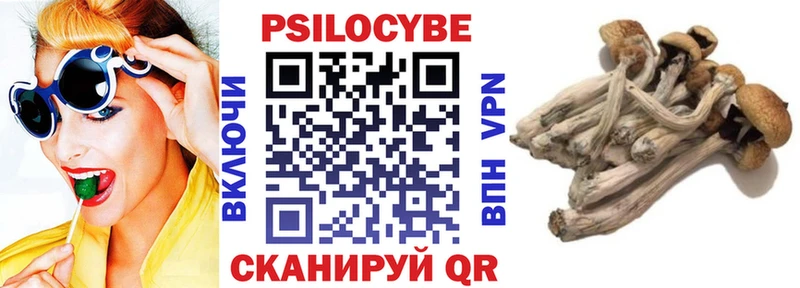 Псилоцибиновые грибы Magic Shrooms  Тайшет 