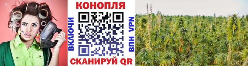Марихуана Amnesia Тайшет